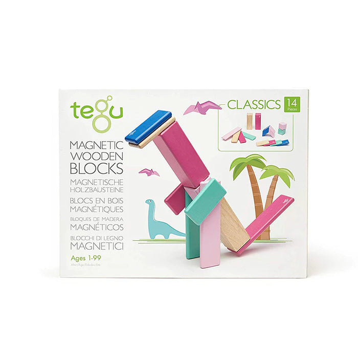 Tegu Magnetic Wooden Blocks