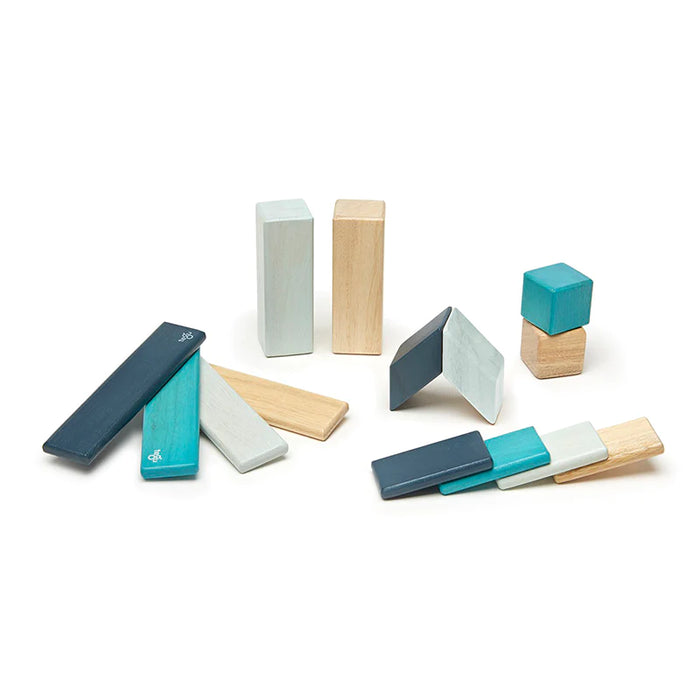 Tegu Magnetic Wooden Blocks