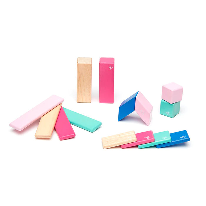 Tegu Magnetic Wooden Blocks