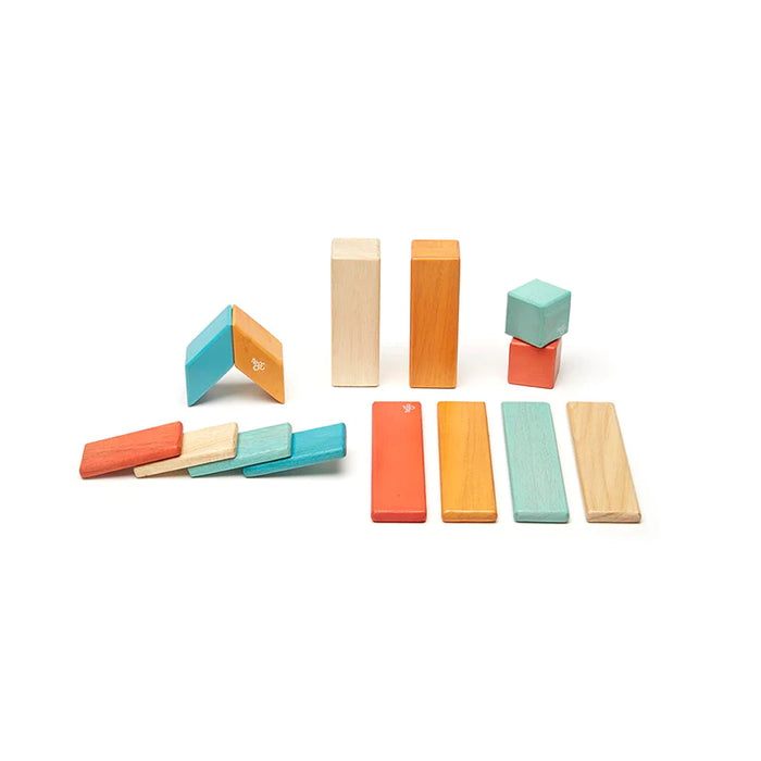 Tegu Magnetic Wooden Blocks