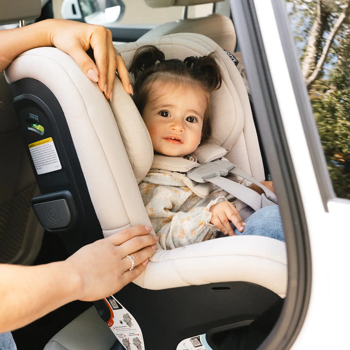 UPPAbaby Rove Convertible Car Seat