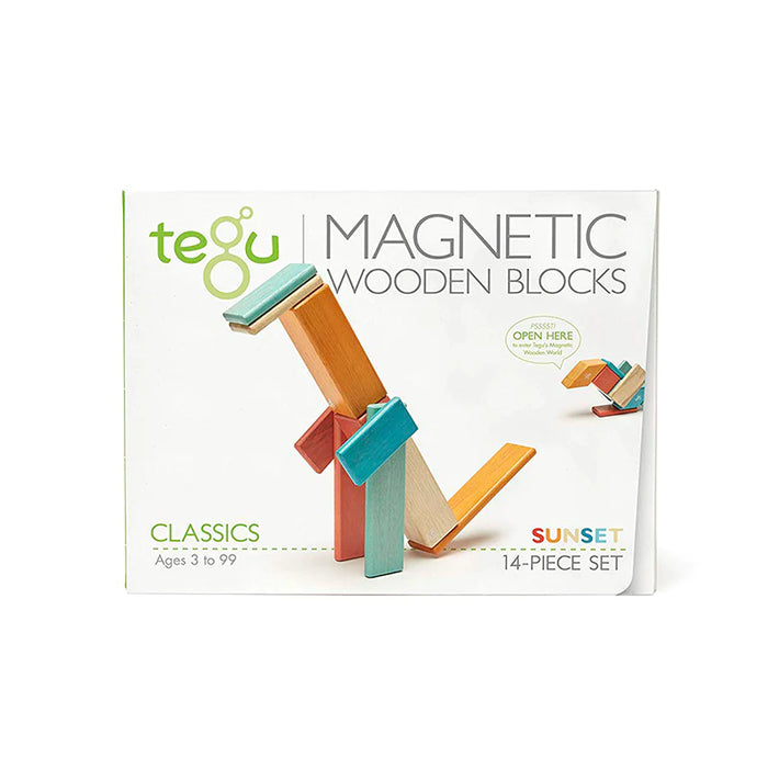 Tegu Magnetic Wooden Blocks